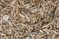 biomass boilers Damery
