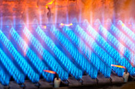 Damery gas fired boilers
